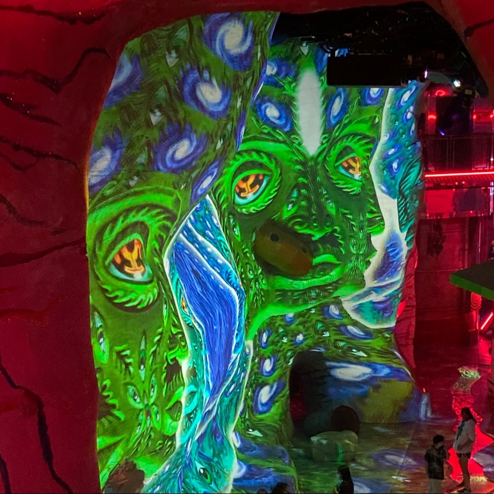 Meet your Posher, Patrick